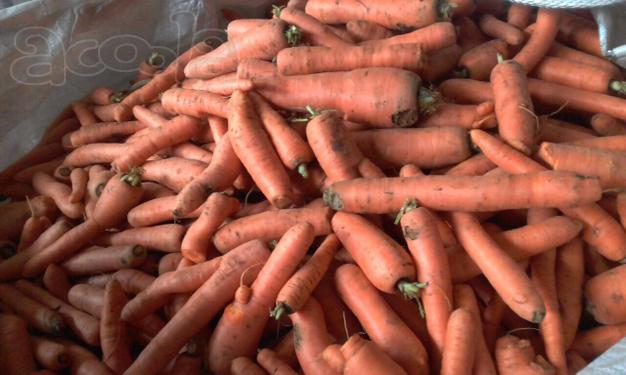 Продаём морковь 2 сорта оптом